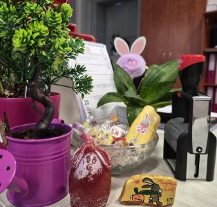 Kliknij, aby powiększyć zdjęcie.